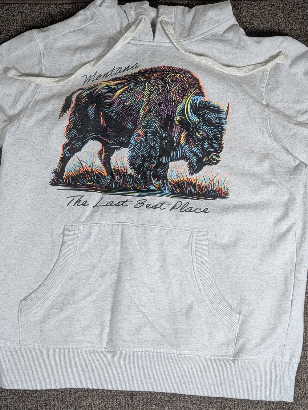 Montana The Last Best Place Buffalo Graphic Hoodie - Light Gray